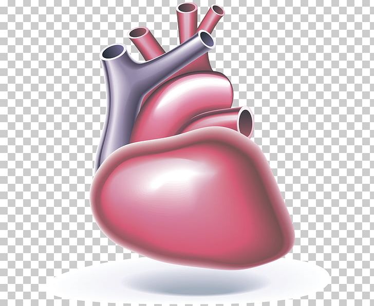 Cardiac Arrest Automated External Defibrillators Heart Cardiopulmonary Resuscitation Cardiology PNG, Clipart, Anatomy, Automated External Defibrillators, Cardi, Cardiac Arrest, Cardiac Muscle Free PNG Download