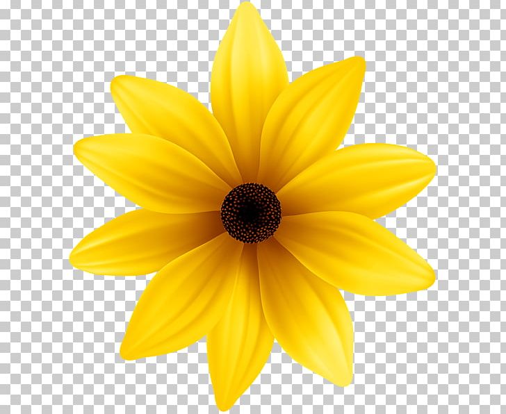 Flower Yellow Blue PNG, Clipart, Blue, Clip Art, Color, Common Sunflower, Dahlia Free PNG Download