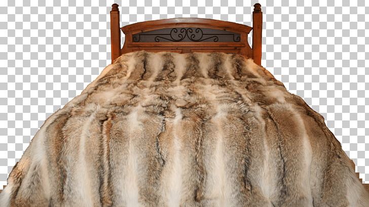 Fur Clothing Coyotenfell Beaver PNG, Clipart, Beaver, Canada Lynx, Clothing, Coyote, Coyotenfell Free PNG Download