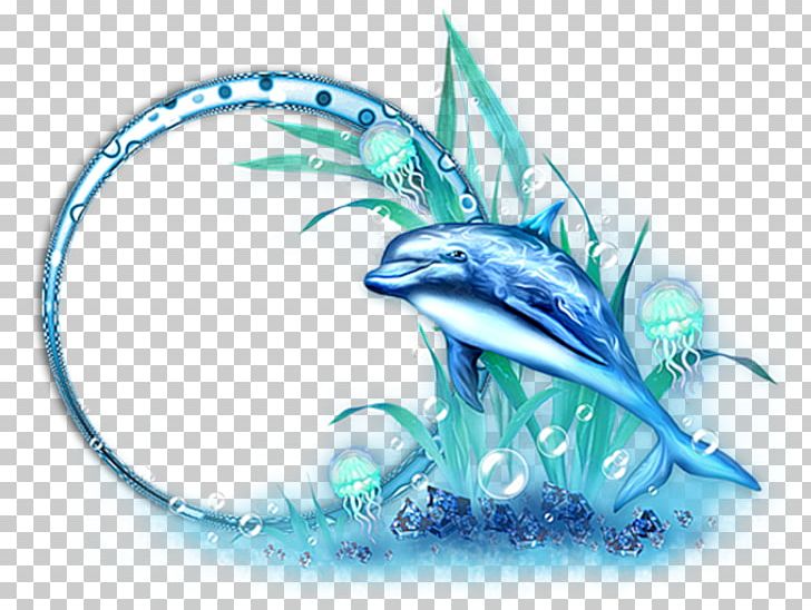 Dolphin Photography PNG, Clipart, Animals, Computer Icons, Computer Wallpaper, Dolphin, Fictional Character Free PNG Download