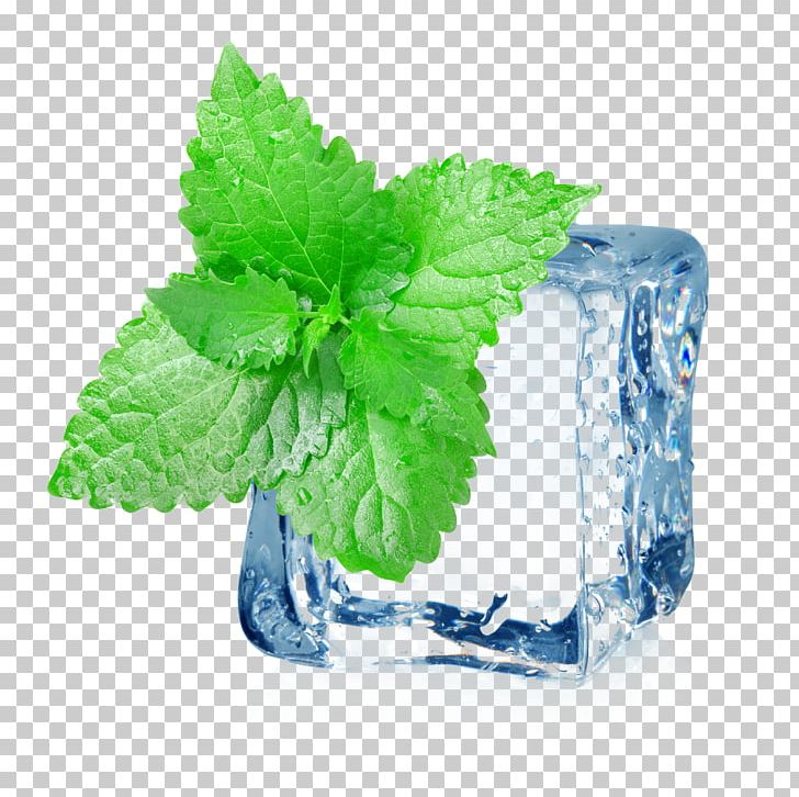 Iced Tea Mint Electronic Cigarette Aerosol And Liquid Menthol PNG, Clipart, Decoration, Electronic Cigarette, Fall Leaves, Ice Cream, Ice Vector Free PNG Download