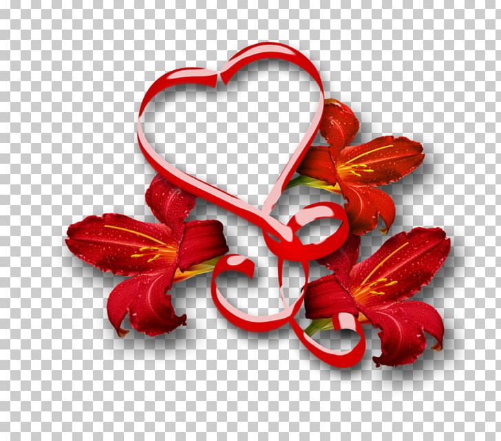 Photography Love PNG, Clipart,  Free PNG Download