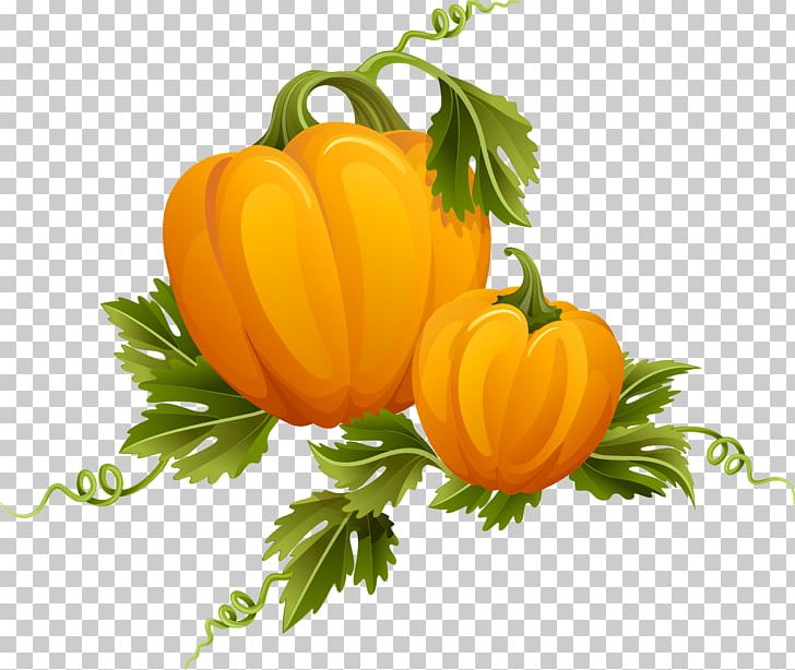 Photography PNG, Clipart, Country, Flower, Food, Fruit, Gourd Free PNG Download