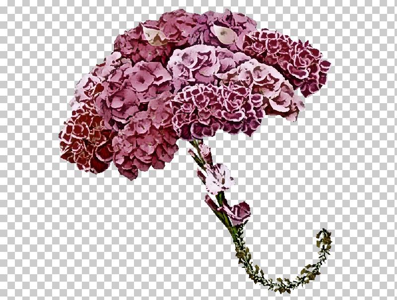 Floral Design PNG, Clipart, Bouquet, Carnation, Cockscomb, Cornales, Cut Flowers Free PNG Download