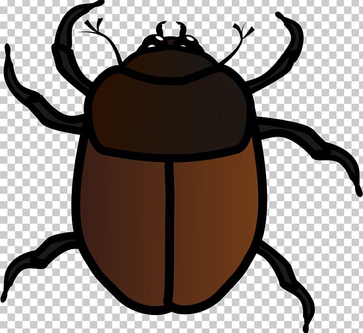Beetle Drawing PNG, Clipart, Animals, Artwork, Beetle, Bugs, Cartoon Free PNG Download