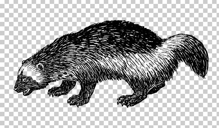 Computer Icons Mink PNG, Clipart, Beaver, Black And White, Carnivoran, Common, Computer Icons Free PNG Download