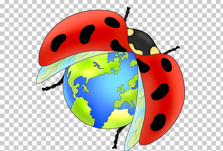 Ladybird Beetle Seven-spot Ladybird PNG, Clipart, Animaatio, Animals, Bee, Beetle, Blog Free PNG Download