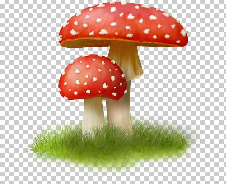 Mushroom Agaric Riddle PNG, Clipart, Agaric, Field, Liveinternet, Mushroom, Others Free PNG Download