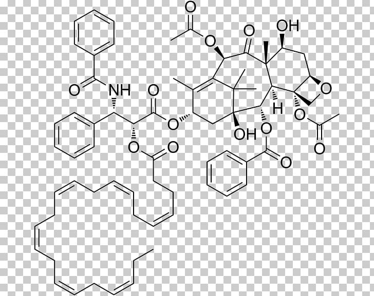 Paclitaxel Total Synthesis 10-Deacetylbaccatin DHA-paclitaxel Natural Product PNG, Clipart, Angle, Area, Auto Part, Black And White, Chemistry Free PNG Download