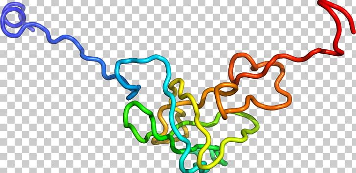 Body Jewellery Line Organism PNG, Clipart, Area, Art, Body Jewellery, Body Jewelry, Human Chain Free PNG Download