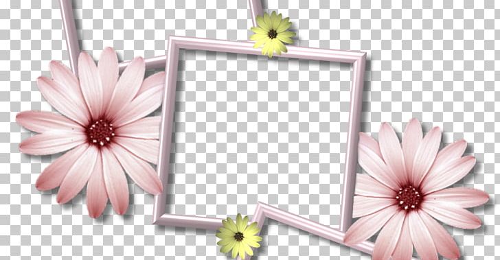 Borders And Frames Frames Collage PNG, Clipart, Borders, Borders And Frames, Clip Art, Collage, Cut Flowers Free PNG Download