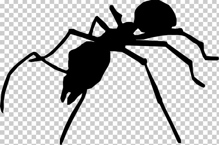 Fly Ant Silhouette Insect Myrmecia Nigriceps PNG, Clipart, Animal, Ant, Arthropod, Artwork, Big Black Free PNG Download