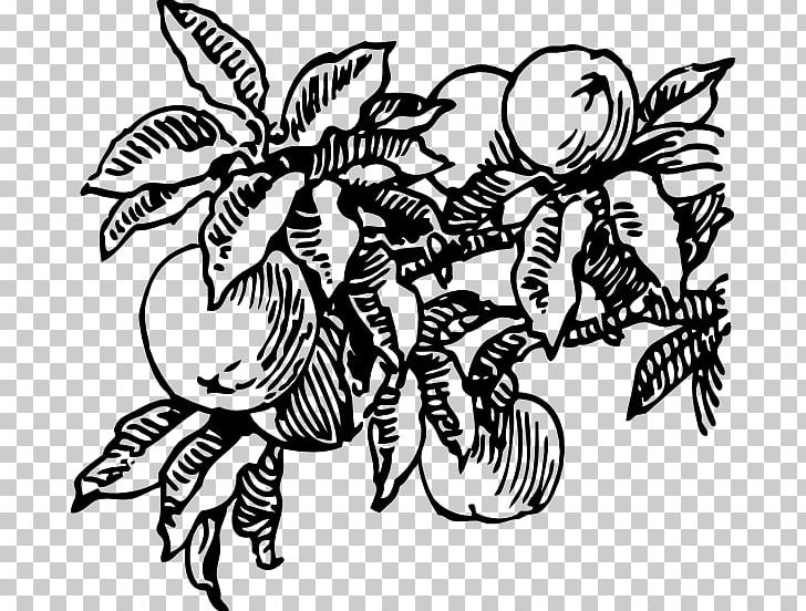 Fruit Drawing PNG, Clipart, Artwork, Black And White, Butterfly, Download, Drawing Free PNG Download