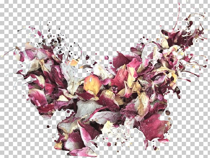 Petal Flower Floral Design Confetti Wedding PNG, Clipart, Confetti, Dollz, Dollz Confetti, Floral Design, Flower Free PNG Download