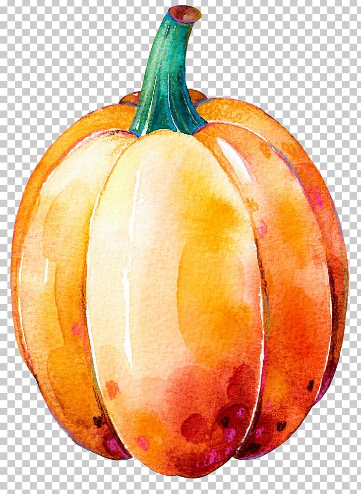 Pumpkin Calabaza Gourd Winter Squash Thanksgiving Dinner PNG, Clipart, Aquarela, Cucurbita, Drawing, Food, Fruit Free PNG Download