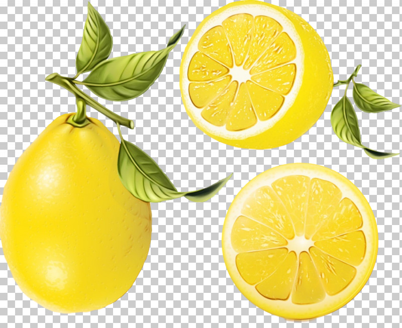 Natural Foods Citrus Persian Lime Lemon Fruit PNG, Clipart, Citrus, Food, Fruit, Lemon, Lemonlime Free PNG Download