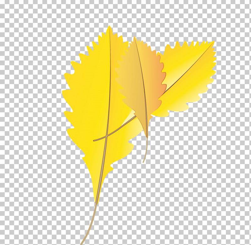 Vliestapete Color Birds Yellow PNG, Clipart, Autumn Leaf, Birds, Blue, Cartoon Leaf, Childrens Room Free PNG Download