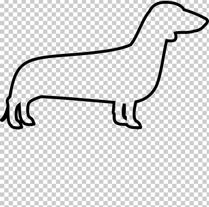 Miniature Dachshund Rough Collie Labrador Retriever PNG, Clipart, Animal, Animal Figure, Area, Beak, Bird Free PNG Download