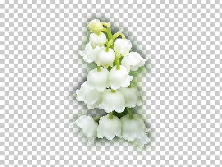 Animation Flower PNG, Clipart, Animation, Cartoon, Cut Flowers, Fairy, Flower Free PNG Download