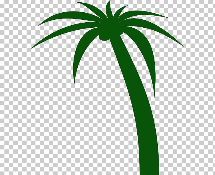 Coconut Tree PNG, Clipart, Animated, Area, Arecaceae, Arecales, Artwork Free PNG Download