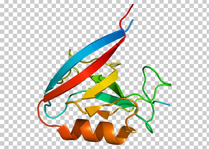 Erbin Protein–protein Interaction Dystonin Gene PNG, Clipart, Area, Artwork, Collagen, Dctn1, Entrez Free PNG Download