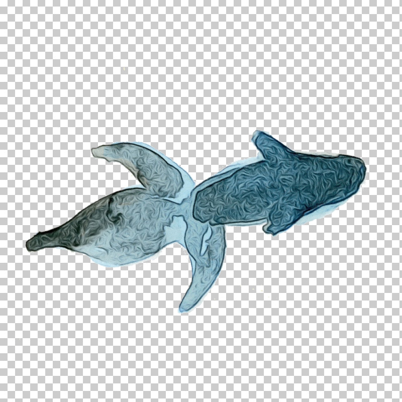 Shark PNG, Clipart, Animal Figure, Blue Whale, Bottlenose Dolphin, Cetacea, Common Dolphins Free PNG Download