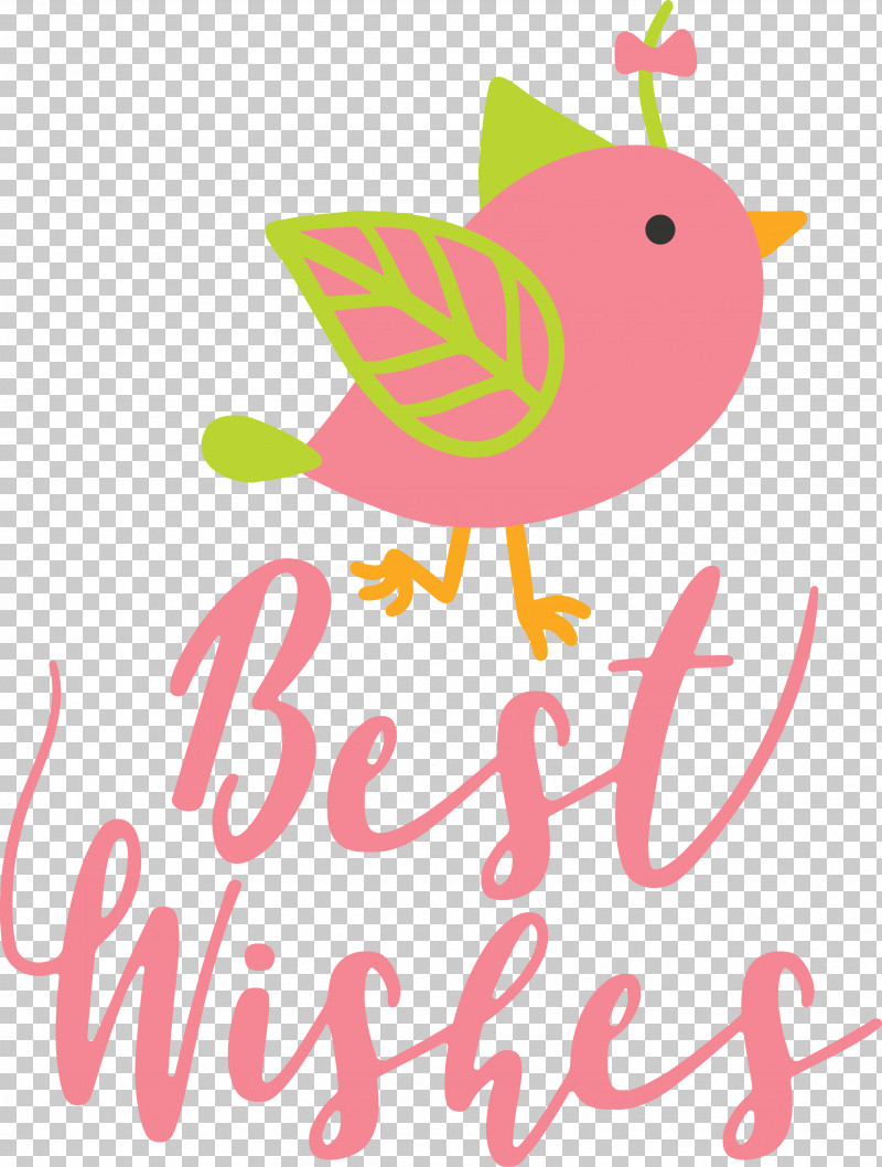Birds Logo Beak Pink M Meter PNG, Clipart, Beak, Biology, Birds, Fruit, Logo Free PNG Download