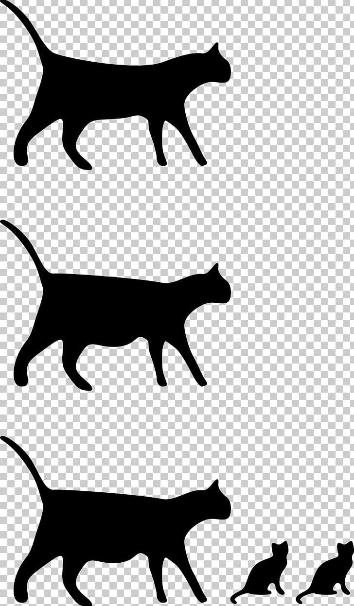 Cat Kitten PNG, Clipart, Black And White, Black And White Drawings, Black Cat, Carnivoran, Cat Free PNG Download