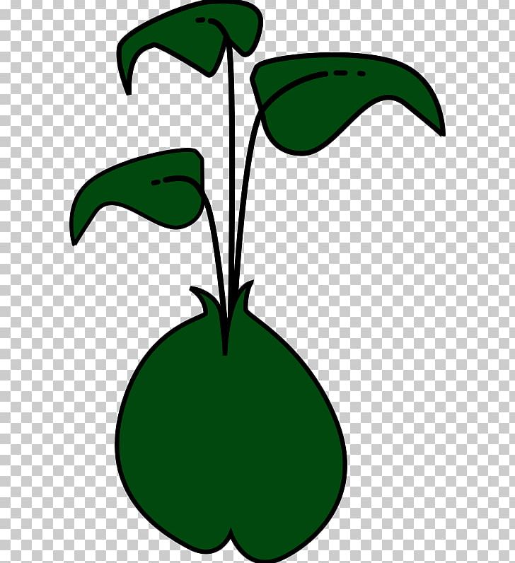 Sprouting Green Bean PNG, Clipart, Alfalfa, Artwork, Bean, Black And White, Broccoli Sprouts Free PNG Download