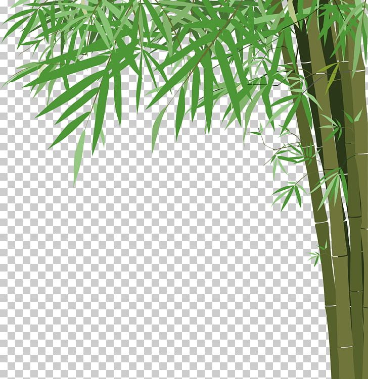 Bamboo Euclidean Illustration PNG, Clipart, Bamboo Leaves, Bamboo Tree, Bamboo Vector, Cartoon, Download Free PNG Download