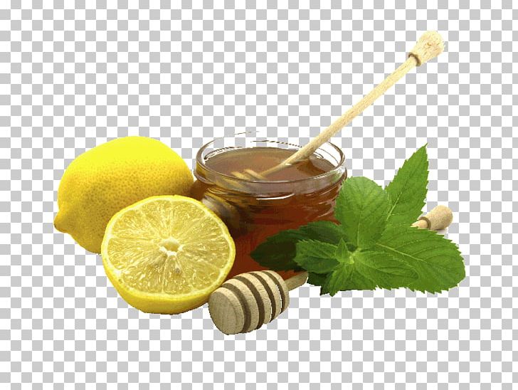 Elderflower Cordial Lemon Juice Cider Liquorice PNG, Clipart, Aloe Vera, Cider, Drink, Elderberry, Elderflower Cordial Free PNG Download