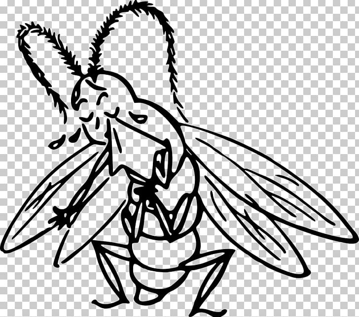 Insect Cartoon Drawing PNG, Clipart, Animal, Animals, Animation, Art, Artwork Free PNG Download