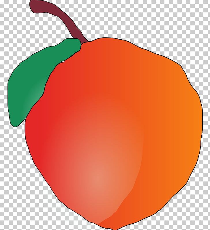 Apple PNG, Clipart, Apple, Bell Peppers And Chili Peppers, Download, Drawing, Flowering Plant Free PNG Download