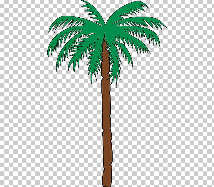 Open Free Content Palm Trees PNG, Clipart, Arecales, Borassus Flabellifer, Branch, Coconut, Date Palm Free PNG Download
