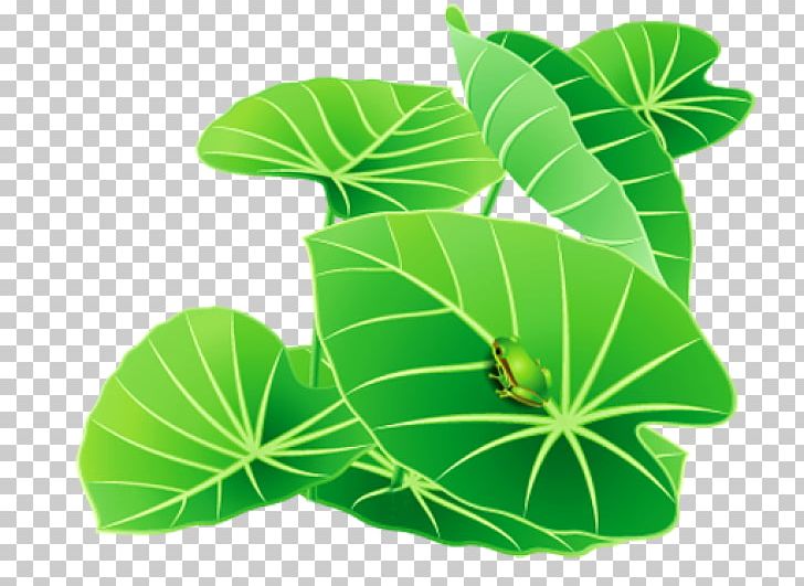 Leaf Others Plant Stem PNG, Clipart, Art, Computer Icons, Drawing, Encapsulated Postscript, Green Free PNG Download