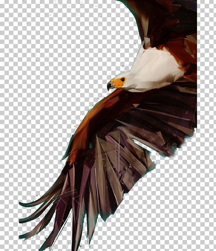 Bald Eagle Bird Flight Falcon Owl PNG, Clipart, Animal, Animals, Bald Eagle, Bird, Bird Flight Free PNG Download