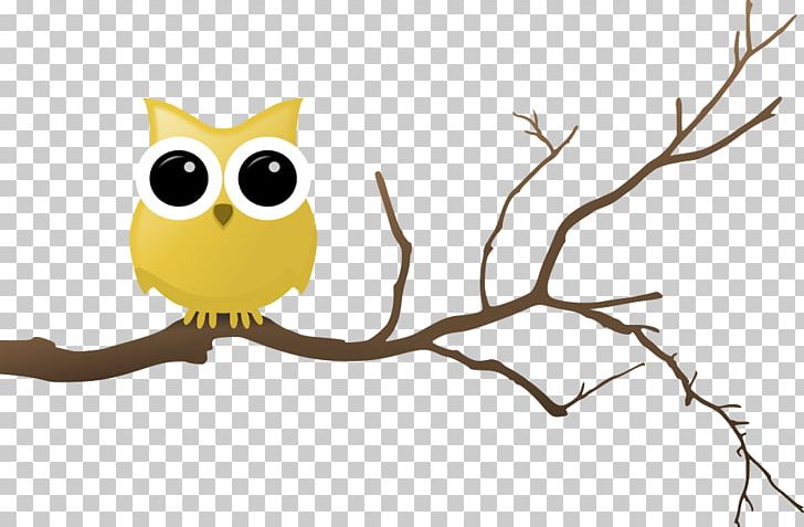 Owl Branch Drawing PNG, Clipart, Animals, Beak, Bird, Bird Of Prey, Branch Free PNG Download