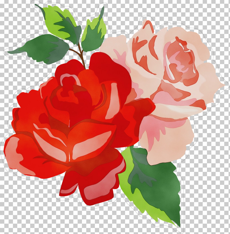 Floral Design PNG, Clipart, Cabbage Rose, Cut Flowers, Floral Design, Floribunda, Flower Free PNG Download
