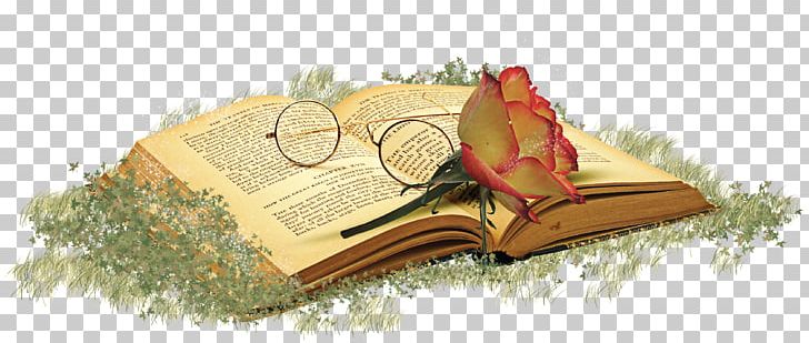 Book U0422u043eu043bu044cu043au043e U0442u044b PNG, Clipart, Book, Book Icon, Booking, Books, Brand Free PNG Download