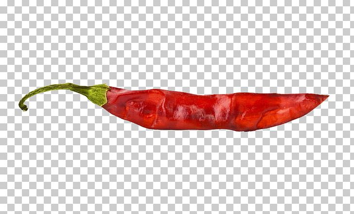 Chili Pepper Red Capsicum PNG, Clipart, Bell Peppers And Chili Peppers, Black Pepper, Capsicum, Cartoon Chili, Chili Free PNG Download