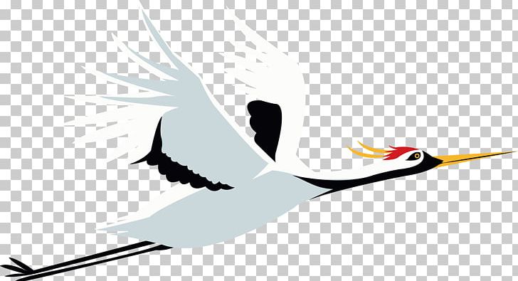 Crane Flight Bird PNG, Clipart, Asuka, Beak, Bird, Brand, Cartoon Crane  Free PNG Download