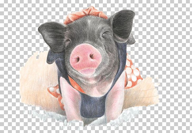 Domestic Pig Pencil Watercolor Painting Paintbrush Drawing PNG, Clipart, Animals, Art, Colored Pencil, Creative, Creativity Free PNG Download