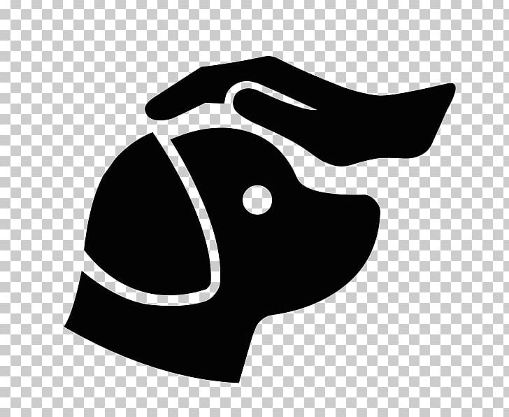 Shih Tzu Golden Retriever Puppy Maltese Dog Bichon Frise PNG, Clipart, Anesthesia, Animals, Bichon, Bichon Frise, Black Free PNG Download