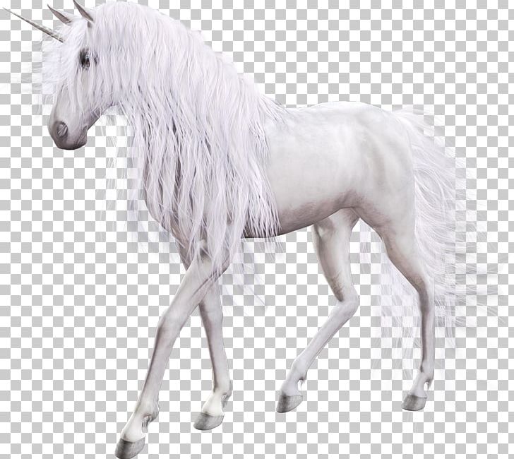 The Black Unicorn Horse Pegasus PNG, Clipart, Animal Figure, Avatan, Avatan Plus, Black Unicorn, Computer Icons Free PNG Download