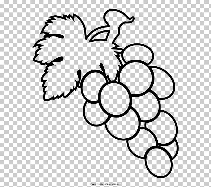 Grape Coloring Book Drawing Fruit PNG, Clipart, Apple, Area, Black And White, Book, Branch Free PNG Download