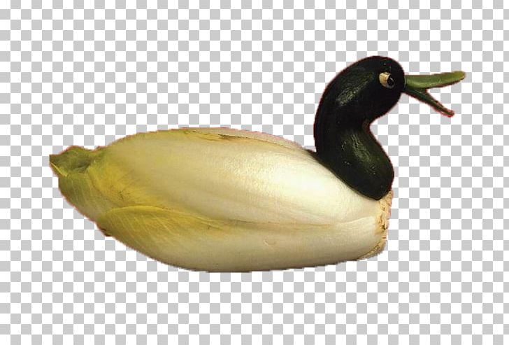 Duck Chinese Cabbage Napa Cabbage PNG, Clipart, Animals, Art, Beak, Bird, Brassica Oleracea Free PNG Download