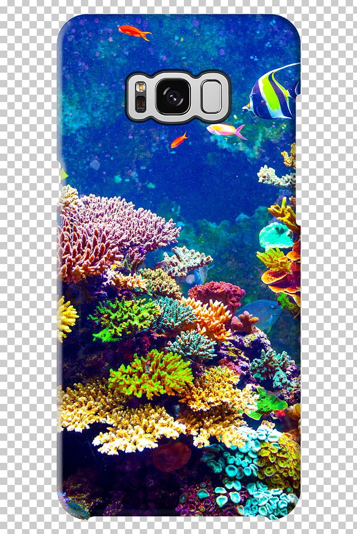 Fauna Flora Coral Reef Silicon X-tal Reflective Display PNG, Clipart, Aquarium, Coral, Coral Bleaching, Coral Reef, Coral Reef Fish Free PNG Download