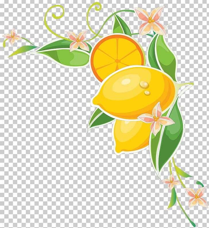 Floral Design Flower Drawing PNG, Clipart, Art, Artwork, Branch, Citrus, Computer Wallpaper Free PNG Download