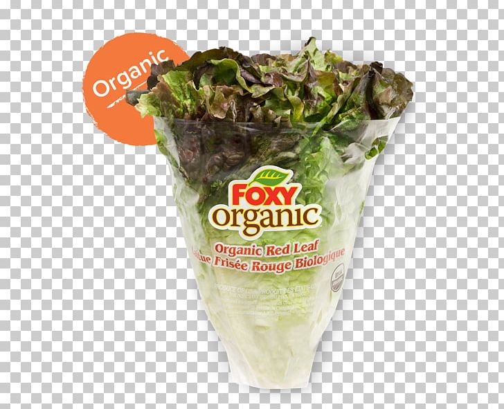 Romaine Lettuce Vegetarian Cuisine Organic Food Recipe PNG, Clipart, B Vitamins, Celery, Dish, Dish Network, Food Free PNG Download