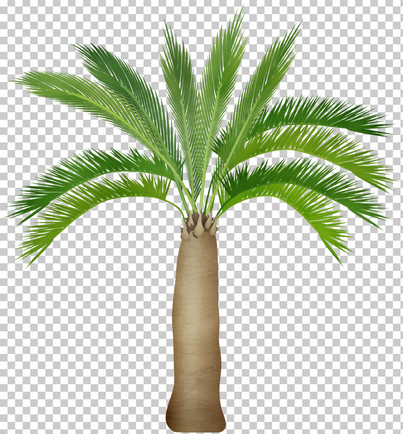 Palm Tree PNG, Clipart, Arecales, Desert Palm, Leaf, Paint, Palm Tree Free PNG Download